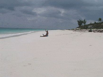 beach-laptop.gif