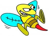 bee
