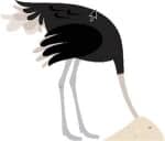 stick-ostrich-head-sand