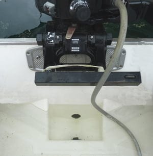 bilge-water