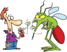 spray bug