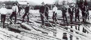 Loggers