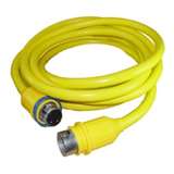 Shoe Cord